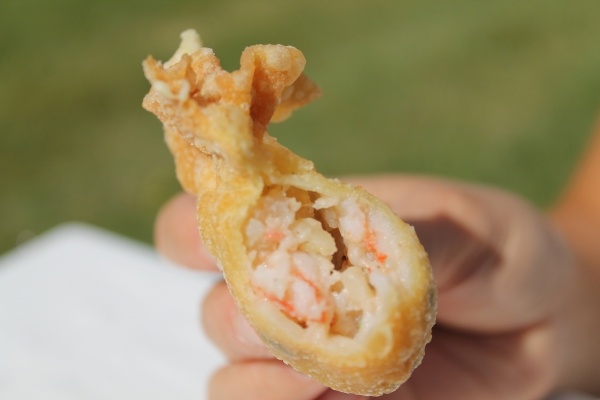 Raviolis aux crevettes frits - 馄饨 Wonton