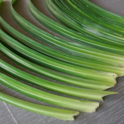 Pandan Leaves