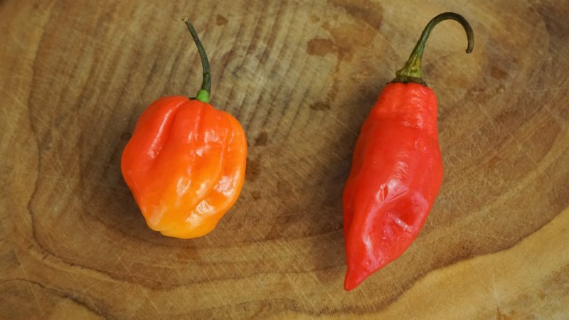 Piment antillais et/ou piment végétarien pour mettre dans le thieb