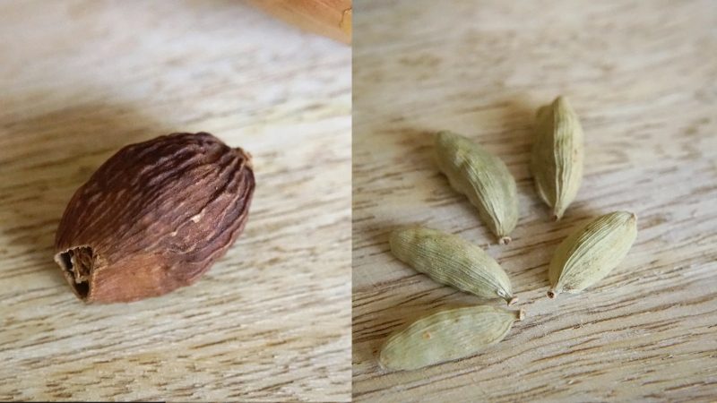 Cardamones brune (ou chinoise) et cardamone verte